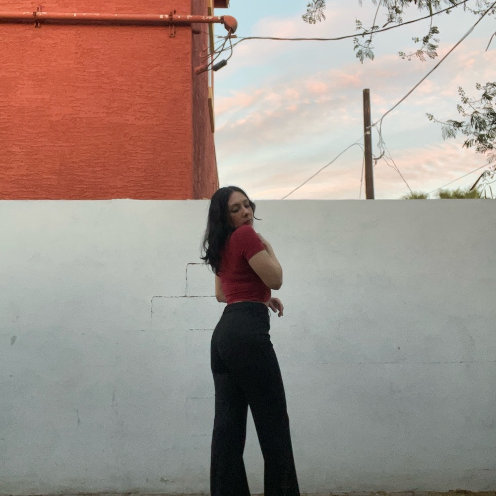 Dress Pants